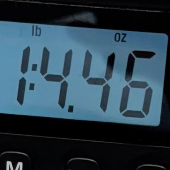 Nike Air Jordan 23 Engineered Utility Multi Pocket Shorts CN7298 011 Size M - Picture 7 of 10